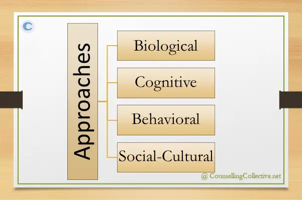 Approaches of study in Personality Psychology