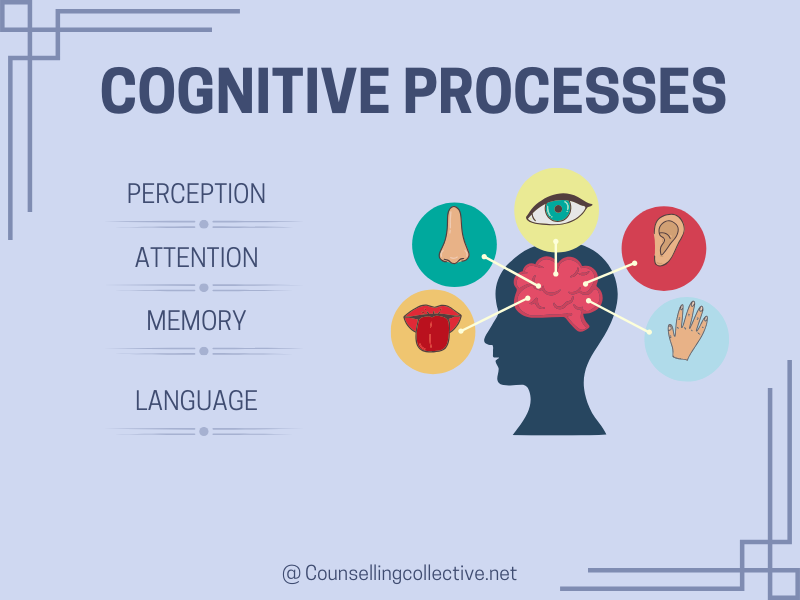 Cognitive Processes