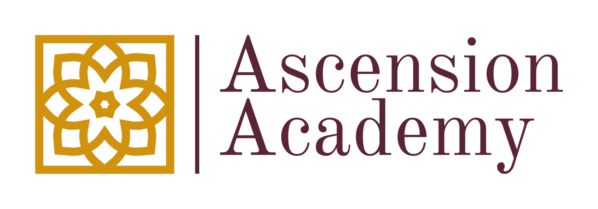 Ascension Academy