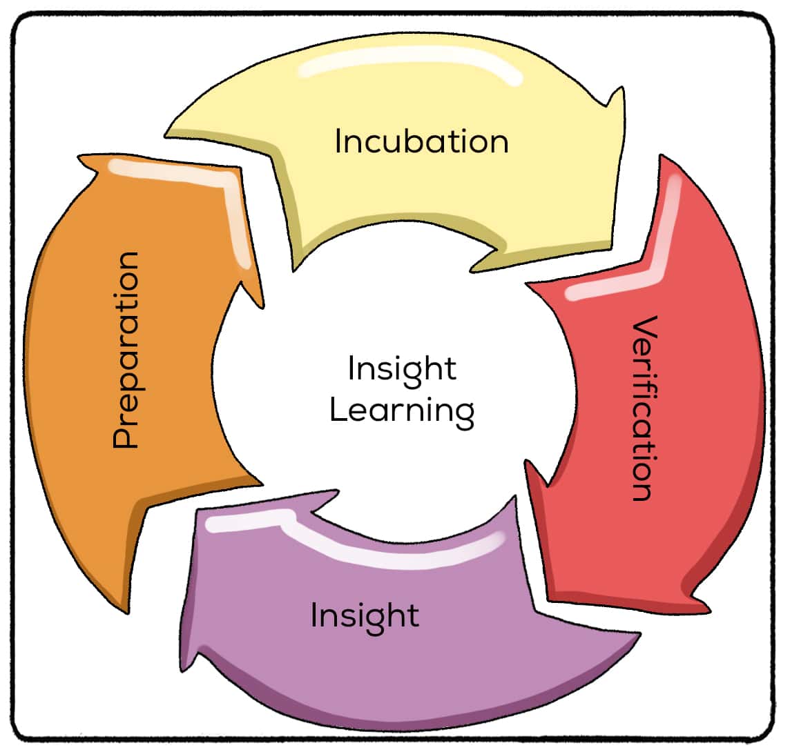 Insight Learning