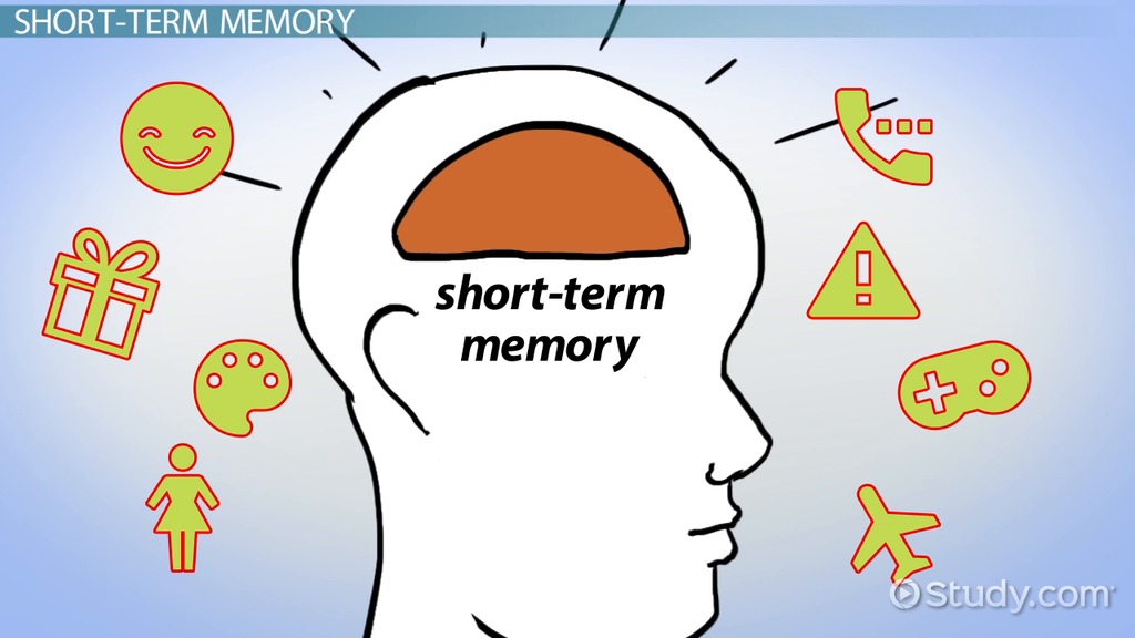 Cognitive Models of Memory