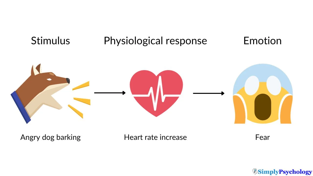 The James-Lange Theory of Emotion