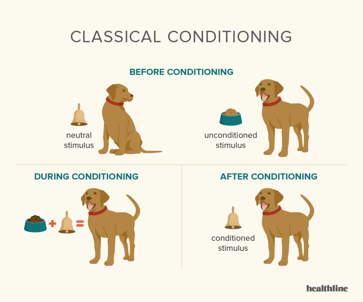 Classical Conditioning