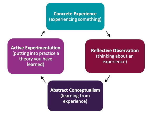 Kolb's Experiential Learning Cycle