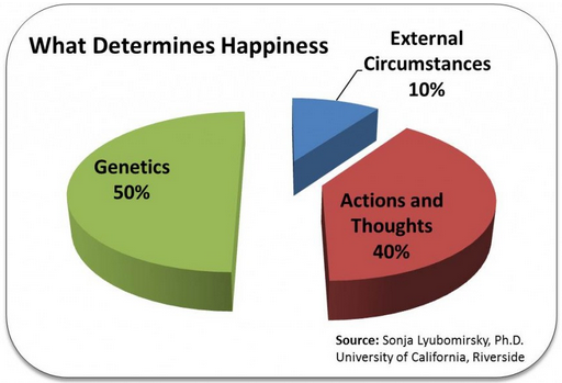 Happiness Hypothesis: 