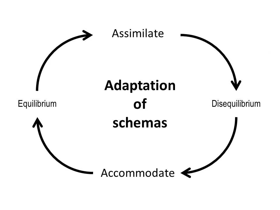 Schemas, Assimilation, and Accommodation