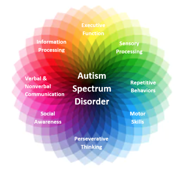 Autism Spectrum Disorder 