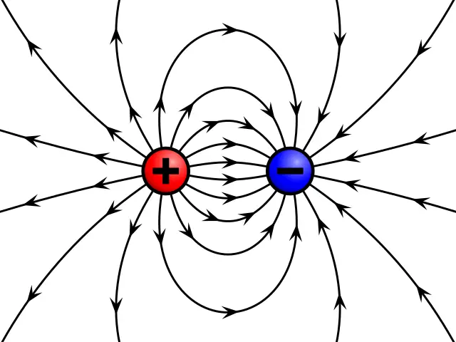 Field Theory