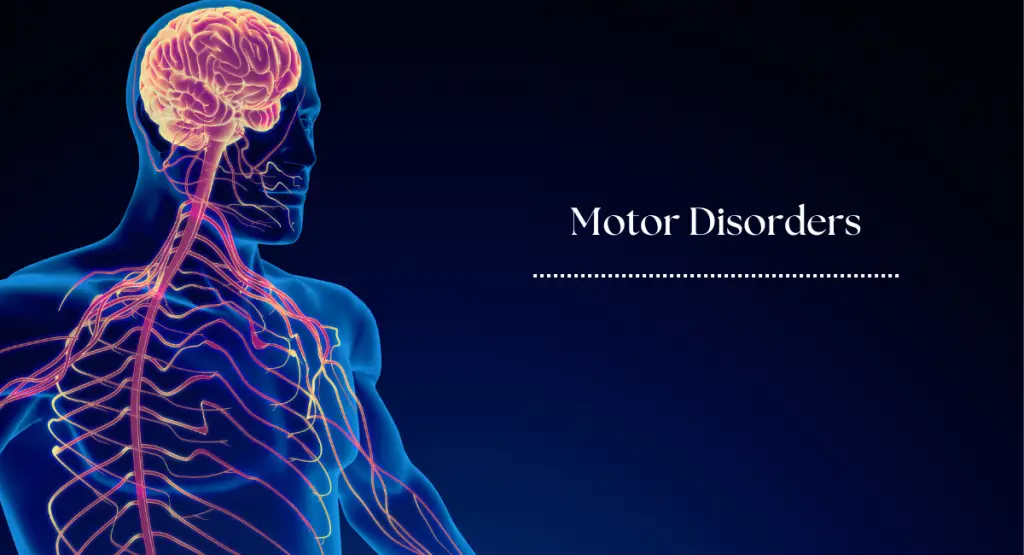 Motor Disorders: Symptoms, Causes, and Therapy Options