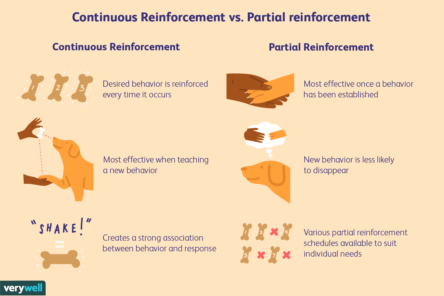 Operant Conditioning and Reinforcement Schedules